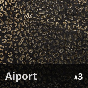 Aiport 3